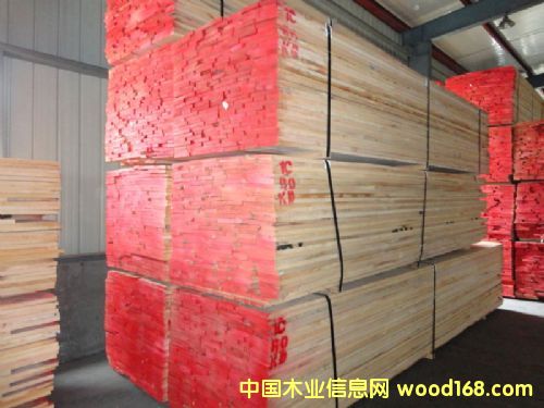 水曲柳的详细介绍