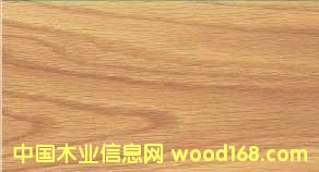 白橡木的详细介绍