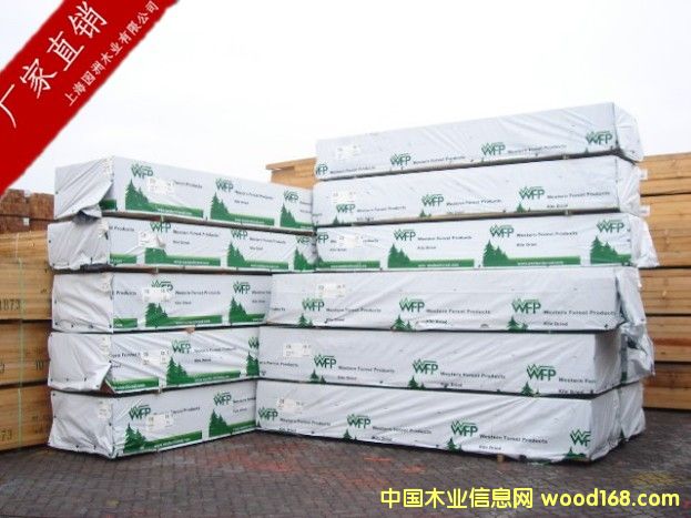 云杉的详细介绍