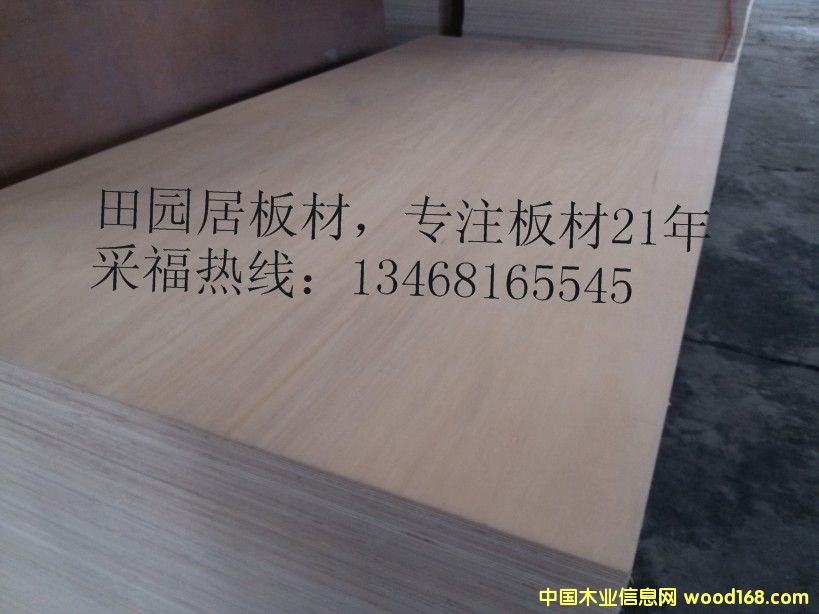 ���⵶ģ�� ���հ�