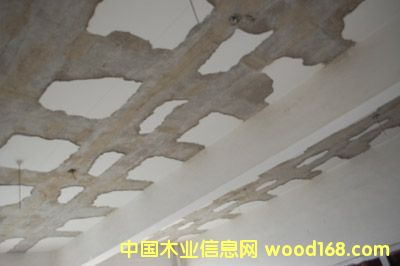 ����鿴̼��ά���Ŵ�ͼƬ