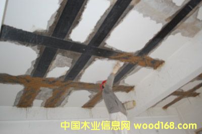 ����鿴̼��ά������ϸ����