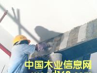 ����鿴̼��ά���Ŵ�ͼƬ