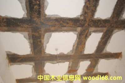 ����鿴̼��ά������ϸ����