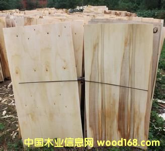 ����鿴ľƤľ��ëͷ�Ŵ�ͼƬ