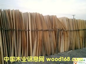 ����鿴ľƤľ��ëͷ�Ŵ�ͼƬ