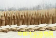 ����鿴ľƤľ��ëͷ�Ŵ�ͼƬ