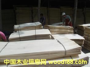 ����鿴ľƤľ��ëͷ�Ŵ�ͼƬ