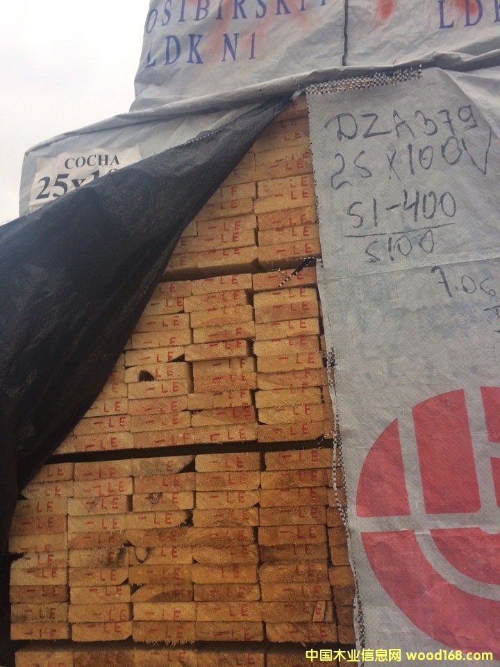 樟子松的详细介绍