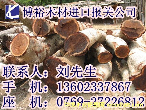 ����鿴���ڱ��طŴ�ͼƬ