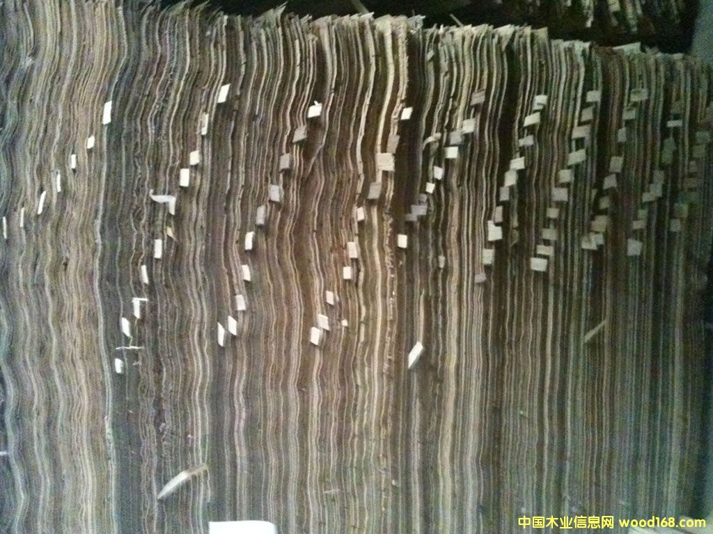 �˹�����