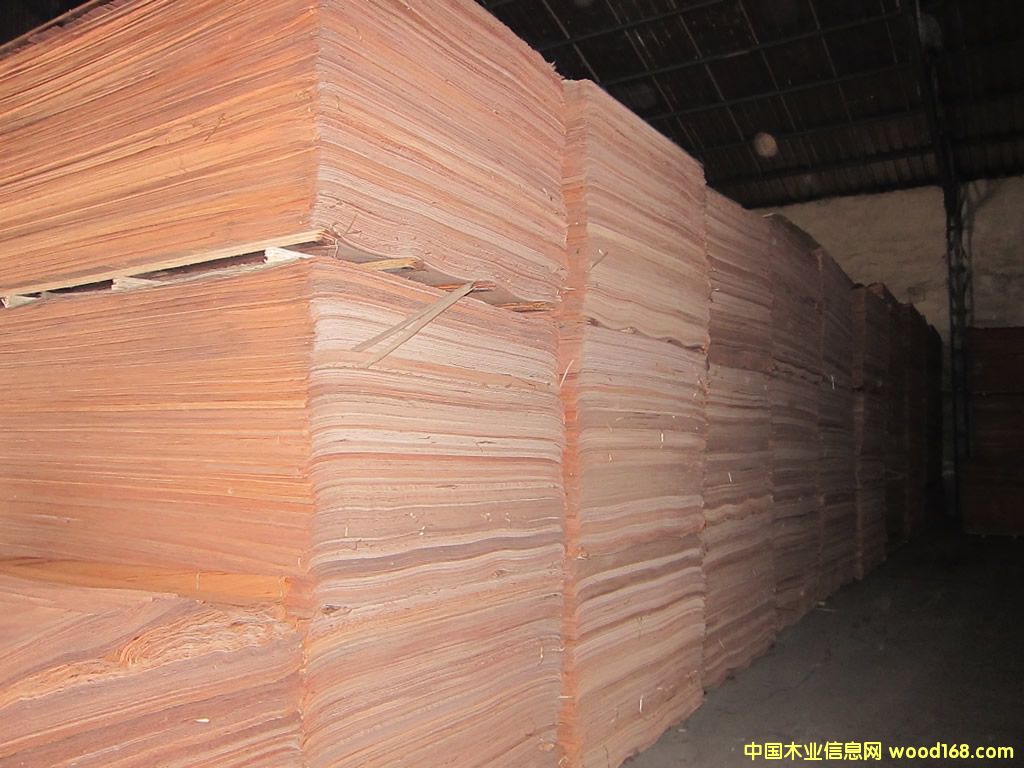 ��¡����