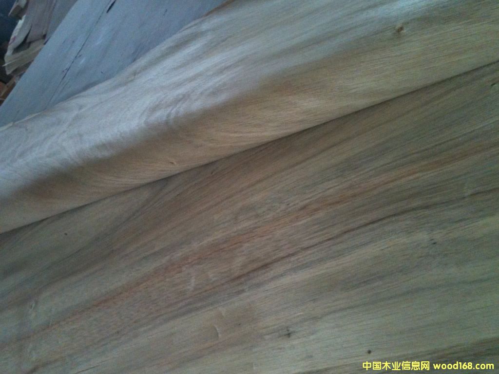 �˹�����