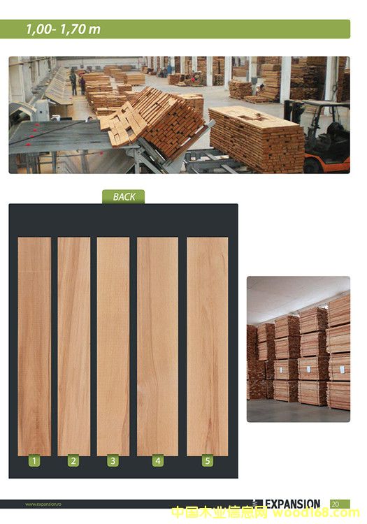 ���������ľ