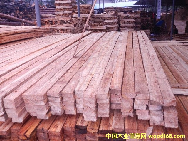 ľ����������