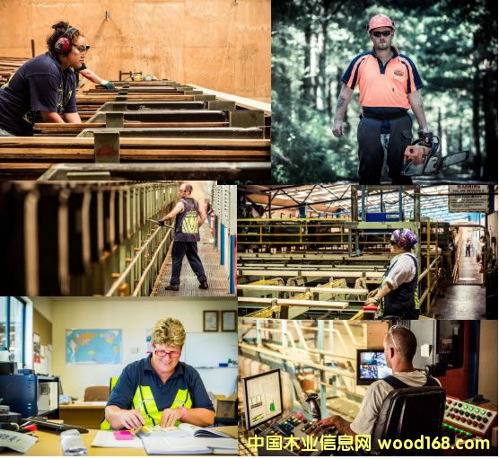 �������ɵļ�԰�����׸���ľ���޹�˾