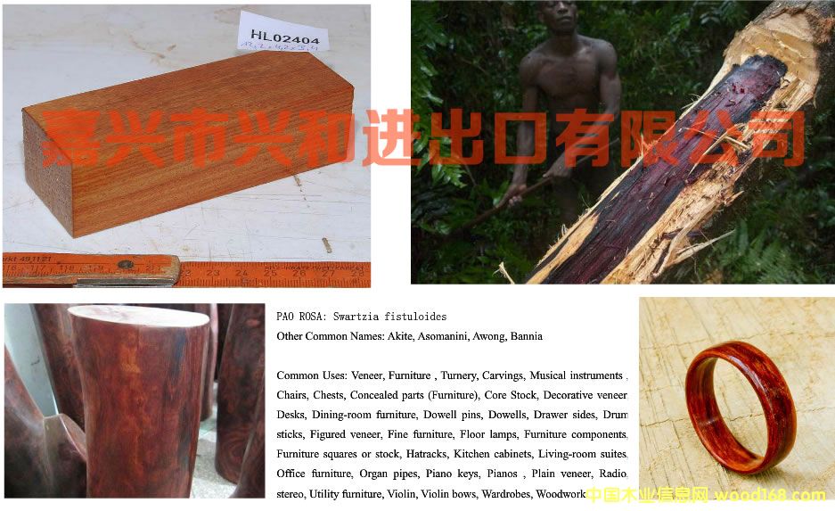 �������˺ͽ��������޹�˾