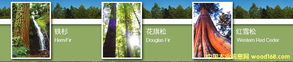 ���ô���ɼר��-�Ϻ���ľʵҵ