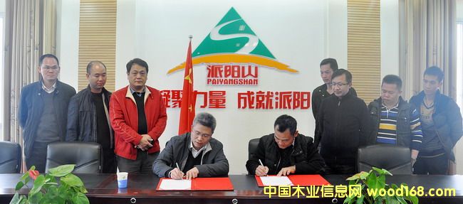 ɽٻΪȫҾƷ˼ҹӦ̵ԭ