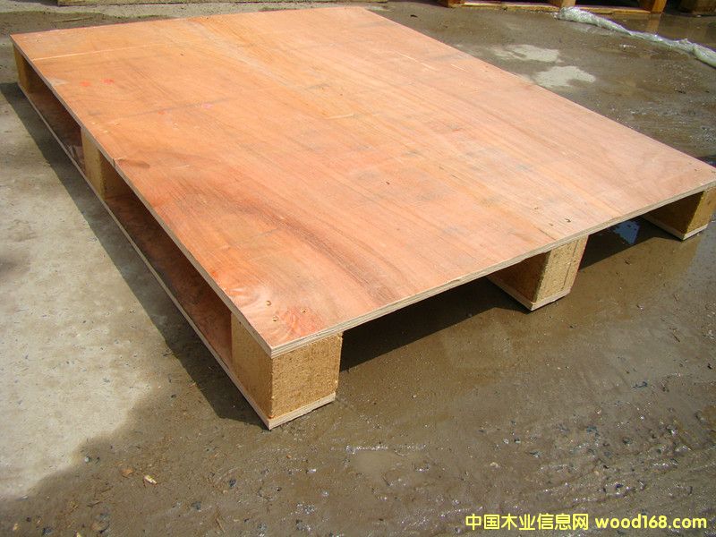 ���ֶ������