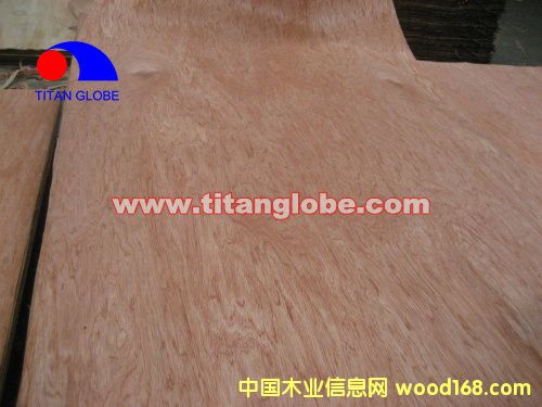 Face Veneer - Titan Globeϸ