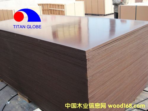 Shuttering Plywood-Titan Globeϸ