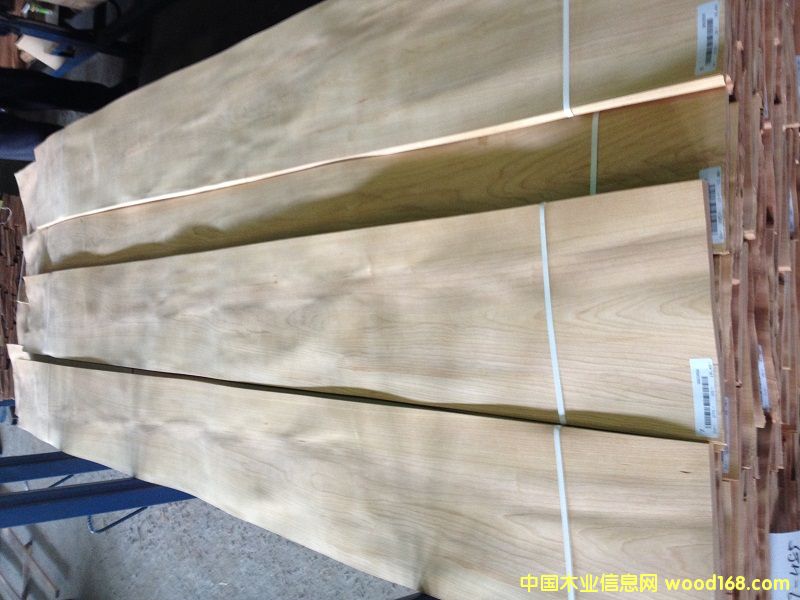 ����鿴ӣ��ľƤ�Ŵ�ͼƬ