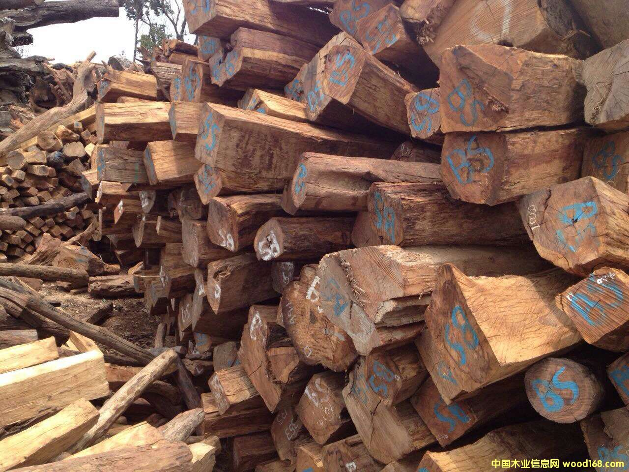 ����鿴�ƻ���3�Ŵ�ͼƬ