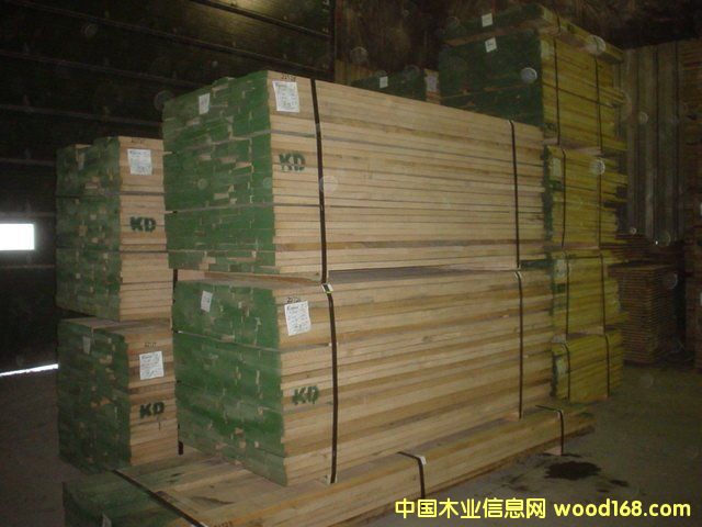 红橡的详细介绍