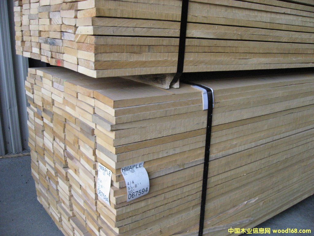 硬枫的详细介绍