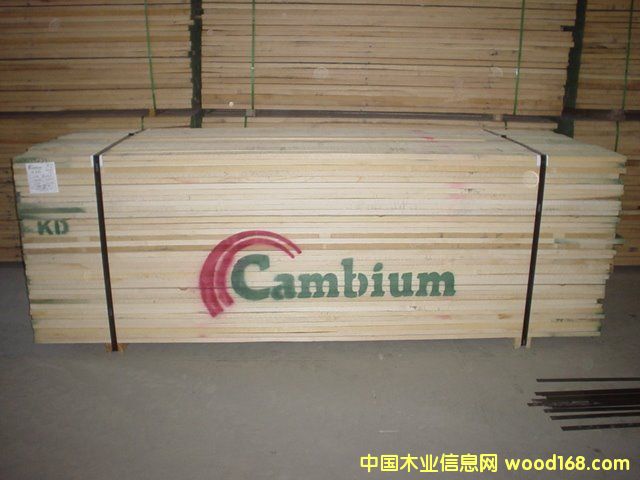 白蜡的详细介绍