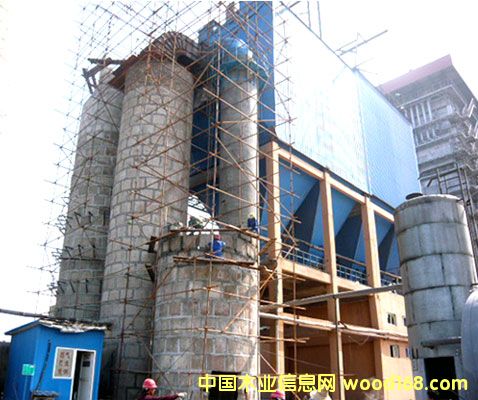 ���������������ϸ����