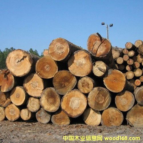 ����鿴ľ�Ľ��ڴ����Ŵ�ͼƬ