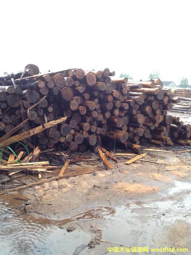 [] ձɼԭľ ɼľ ɼľ һֻԴ