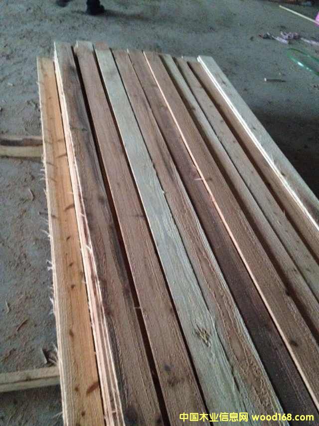 [] ձɼԭľ ɼľ ɼľ һֻԴ