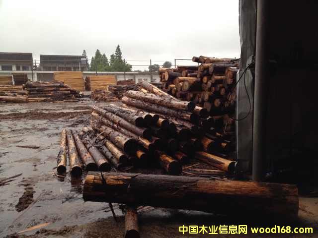 [] ձɼԭľ ɼľ ɼľ һֻԴ