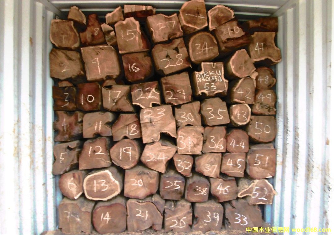 �����ǻ���