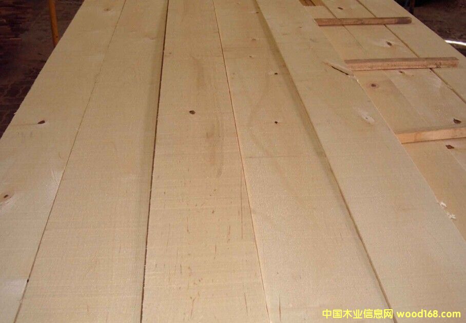 相思木的详细介绍