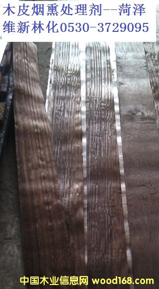 ��ѬľƤ������