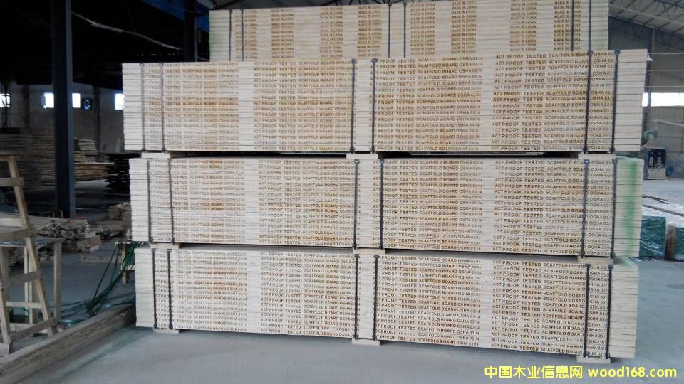 [] ж ̨ Ĵ  OSHA֤ ľ̤ ľ̰ 