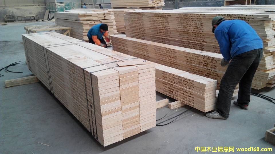 [] ж ̨ Ĵ  OSHA֤ ľ̤ ľ̰ 