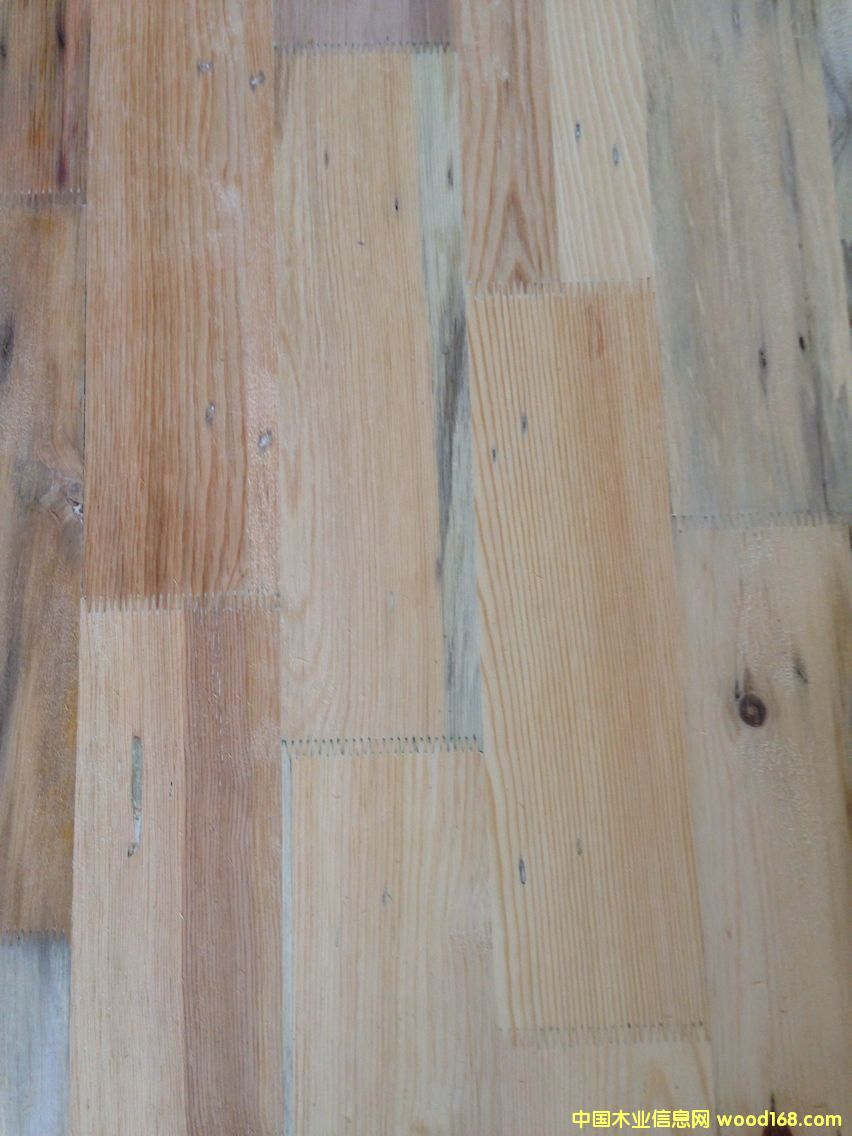 ����鿴��ľָ�Ӱ�Ŵ�ͼƬ