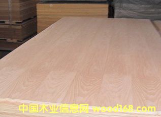 ָӰ𽺺ϰ塢𽺺ϰ塢ϸ