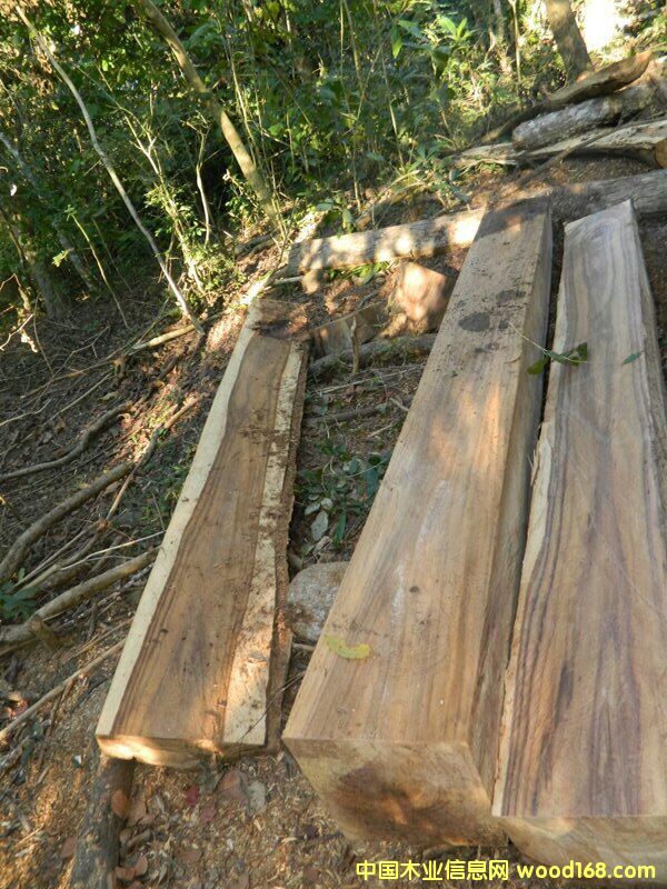 红木原材市场活跃度下滑 阔叶黄檀走货量不错