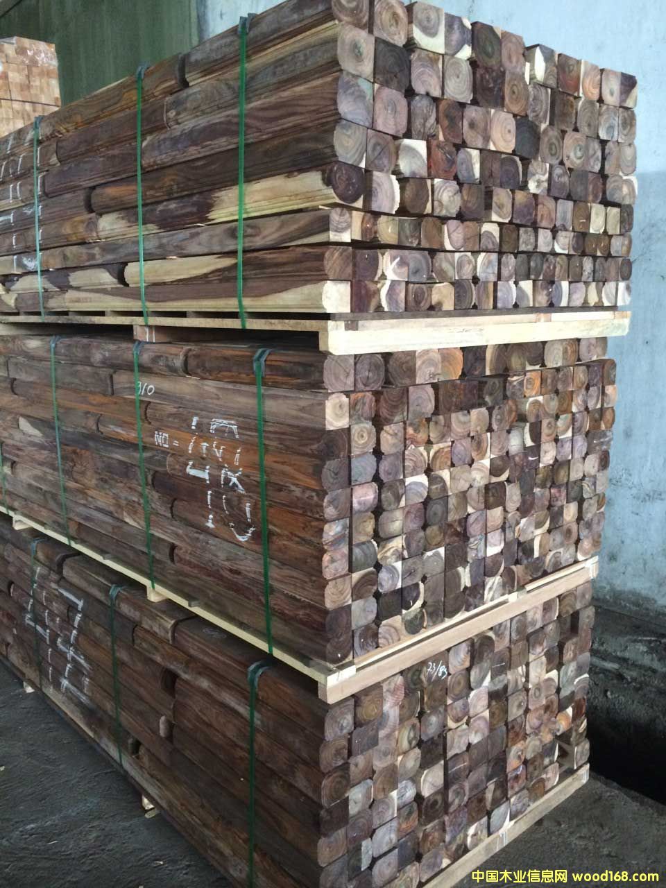 ��Ҷ��̴(15)