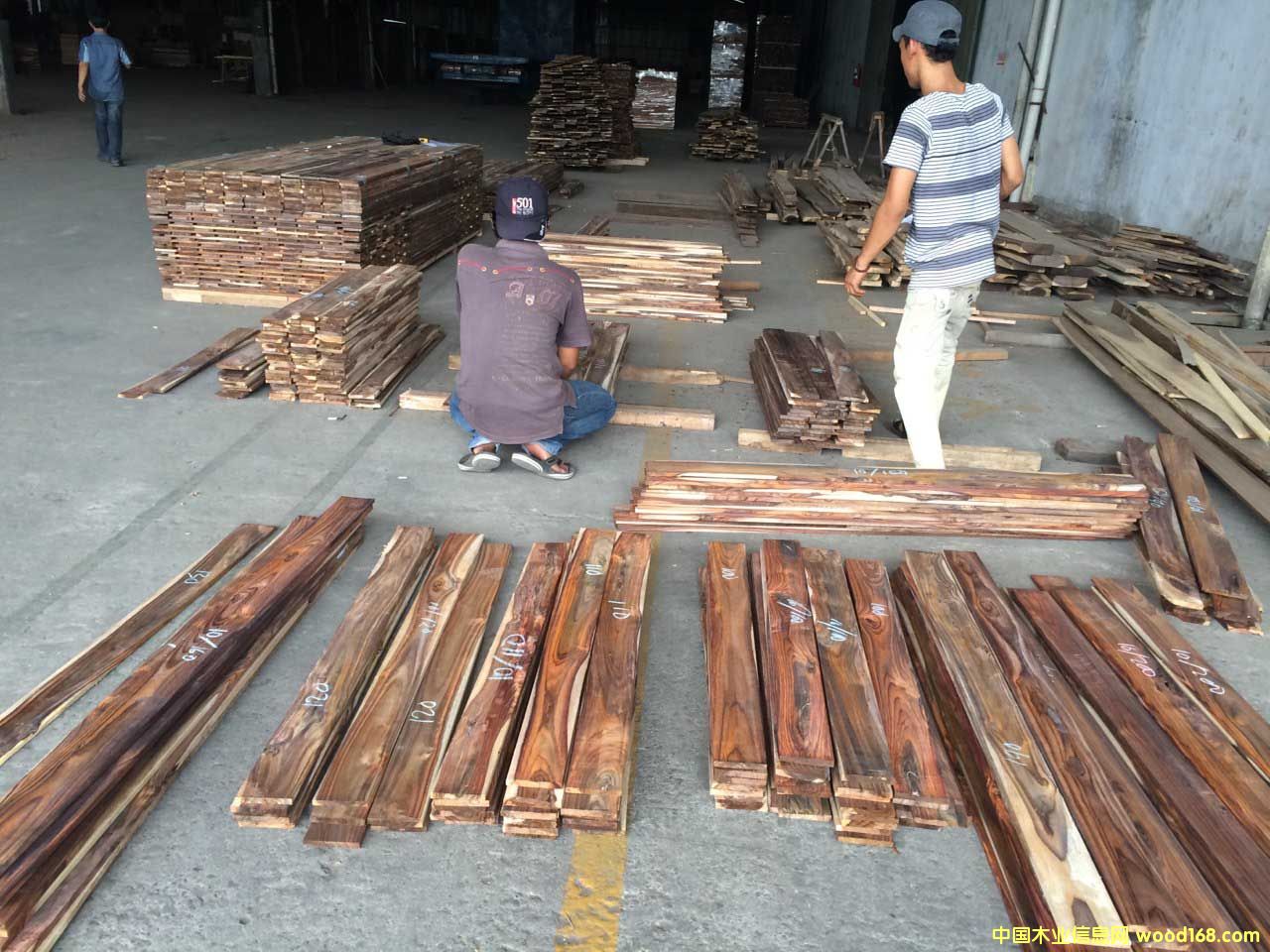 ��Ҷ��̴(16)