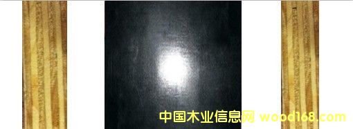 ӦƼ ƷˮĤ帲Ĥ塾ӭѯϸ