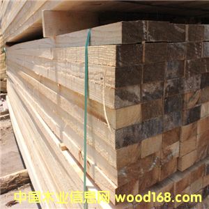 ҹӦ ֻľϹӦ ɶƵϸ