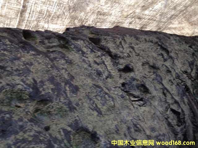 ˿骴ľ绰18080614805