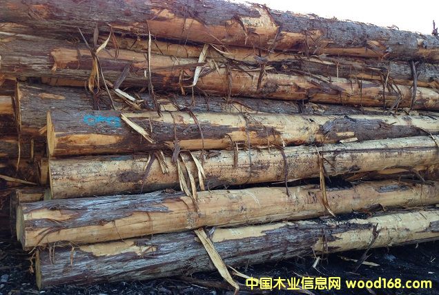 ����˹�ӻ���